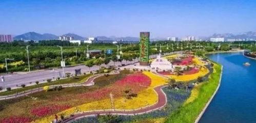 鹿泉问题最新爆料,真相与争议交织