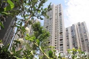 兴丽城最新爆料新闻,揭秘神秘项目背后的惊人真相