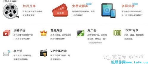 独家爆料最新的网站是什么软件,最新网站背后的神秘软件生成揭秘