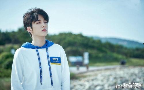 张新成最新爆料,幕后故事与心路历程