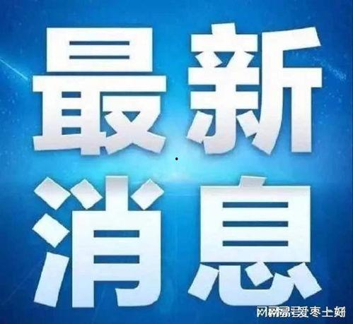 滕州最新爆料消息