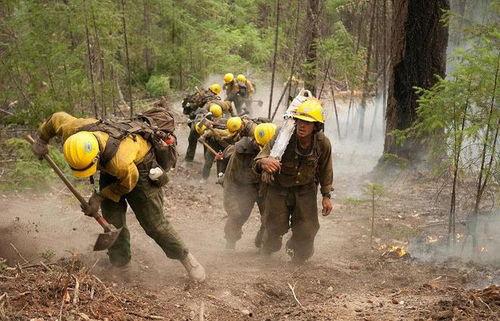 云南爆料野外消防事件最新,紧急救援与生态守护的较量